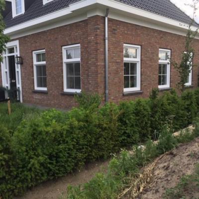 Thumbnail 10592535 6757 4dbe 9846 3f75c3777405