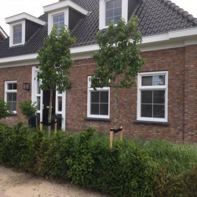 Thumbnail E024f2fc 5f74 44a5 B39d 5283d0d14443