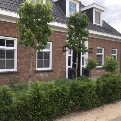 Thumbnail Ef1a0596 29d3 417d B99e Dadff2c518dc